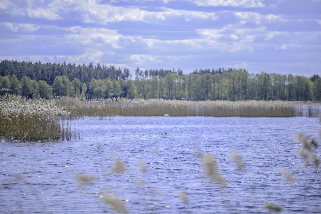 Penzion Dvarcenu Dvaras Dvarcenai  Exteriér fotografie